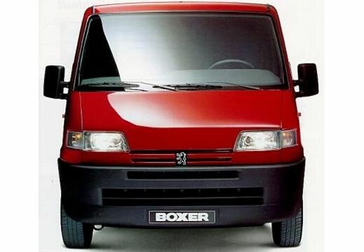 Boxer